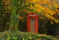 Public red telephone box in autumn Royalty Free Stock Photo