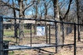 Public rest area dog park with pavilion, galvanized vinyl-coated chain link fences, steel posts and panels, woods bare trees