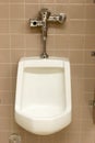 Public Restroom Urinal