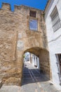 Public street of Vejer de la Frontera village with ancient Segur Gate