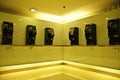 The public telephones