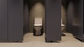 Public toilet toilet toilet cubicle background, 3d rendering Royalty Free Stock Photo