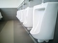 public toilet room - comfort male Toilet Urinal, white urinals in public toilet,Restroom Royalty Free Stock Photo