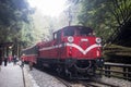 Public Train dock at Sacred Tree Station in Alishan National Scenic Area Taiwan