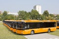 Public transportation new busses front Royalty Free Stock Photo