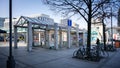 Of a public transportation station in Germany, with multiple bicycles parked under a tree.