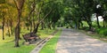 publish garden with bench that for exercise