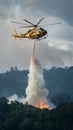 Publish Helicopter battles forest fire with dramatic water drop