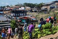 pucallpa peru, ucayali river with boats transporting banana fruits and workers unloading from the jungle to the port