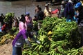 pucallpa peru, ucayali river with boats transporting banana fruits and workers unloading from the jungle to the port