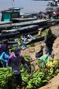 pucallpa peru, ucayali river with boats transporting banana fruits and workers unloading from the jungle to the port