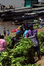 pucallpa peru, ucayali river with boats transporting banana fruits and workers unloading from the jungle to the port