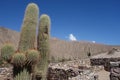 Pucara de tilcara / pre-Inca fortification - jujuy, argentina