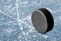 Puck Royalty Free Stock Photo