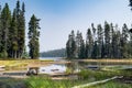 Puck lake, a small mountain lake nestled in the forest