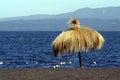 pucon chile with the peculiar black volcanic sand with lake villarica and straw umbrella chile-ay