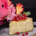 Pudding cheese and red currant Royalty Free Stock Photo