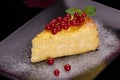 Pudding cheese and red currant Royalty Free Stock Photo
