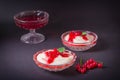 Pudding from semolina in a glass bowl with red currant syrup and berries. On a dark background Royalty Free Stock Photo