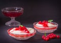 Pudding from semolina in a glass bowl with red currant syrup and berries. On a dark background Royalty Free Stock Photo