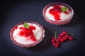 Pudding from semolina in a glass bowl with red currant syrup and berries. On a dark background Royalty Free Stock Photo