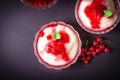 Pudding from semolina in a glass bowl with red currant syrup and berries. On a dark background Royalty Free Stock Photo