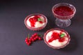 Pudding from semolina in a glass bowl with red currant syrup and berries. On a dark background Royalty Free Stock Photo