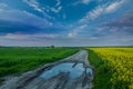 Puddle on a dirt road next to a yellow rape field and colorful clouds on a blue sky Royalty Free Stock Photo