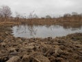 Puddle in the field.