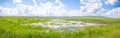 Puddle in a flooded farmland Royalty Free Stock Photo