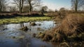 Muddy Creek Landscape With Helios 44-2 58mm F2 Lens: A Traditional British Scene