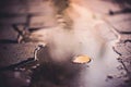 Puddle with leaf on a stone road, reflection of light in water Royalty Free Stock Photo