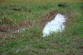 Puddle on a meadow in the springtime in time with a lot of precipitations. Royalty Free Stock Photo
