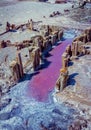 Puddle of pink salt lake brine with crust on a surface