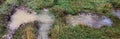 Puddle during the rain on a grassy road Royalty Free Stock Photo