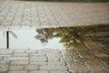 Puddle after rain on street tiles outdoors, closeup