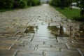 Puddle after rain on street tiles outdoors, selective focus
