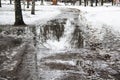 Puddle with reflection in water in the winter day Royalty Free Stock Photo