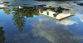 Puddle Reflections