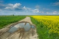 Puddle on the road through rape field, horizon and clouds on blue sky Royalty Free Stock Photo