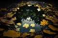 puddle surrounded by leaves, creating natural and beautiful contrast