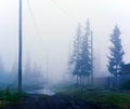 Puddle on the village street in the morning heavy fog among the houses with fences and wooden poles power wires.