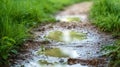Water puddle on dirt road Royalty Free Stock Photo