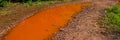 Puddle of water painted red with iron salts on a dirt road Royalty Free Stock Photo