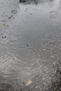 Puddle of water on a road with rain drops rippling off surface Royalty Free Stock Photo