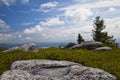 Puddle of water on rock formations at Bear Rocks with wind blown trees in Dolly Sods Wilderness, WV Royalty Free Stock Photo