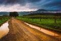 Puddles on a dirt road on a foggy morning at Cade's Cove, Great Royalty Free Stock Photo