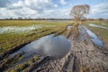 Puddles on a dirt road and meadow, a tree and clouds on the sky