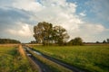 Puddles on a dirt road through meadows, trees and evening clouds Royalty Free Stock Photo