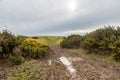 Puddles and mud in the South Downs after heavy winter rainfall